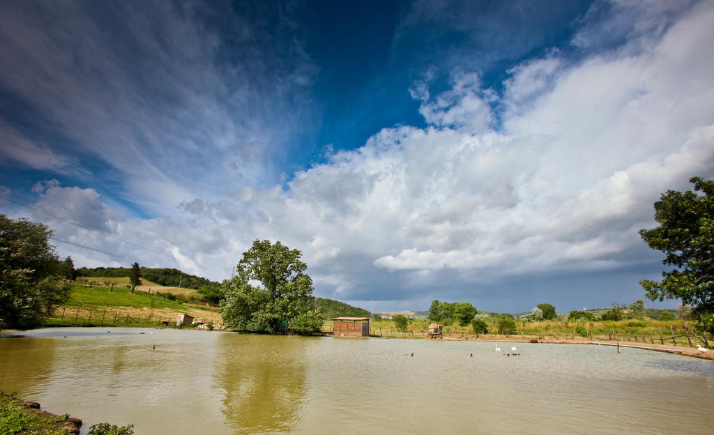 Agriturismo Da Lorena Марсилиана Екстериор снимка