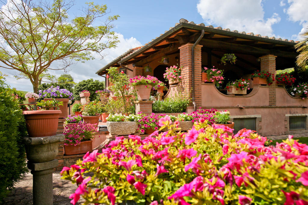 Agriturismo Da Lorena Марсилиана Екстериор снимка